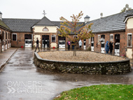 WG031025-78 - Many Clouds Yard